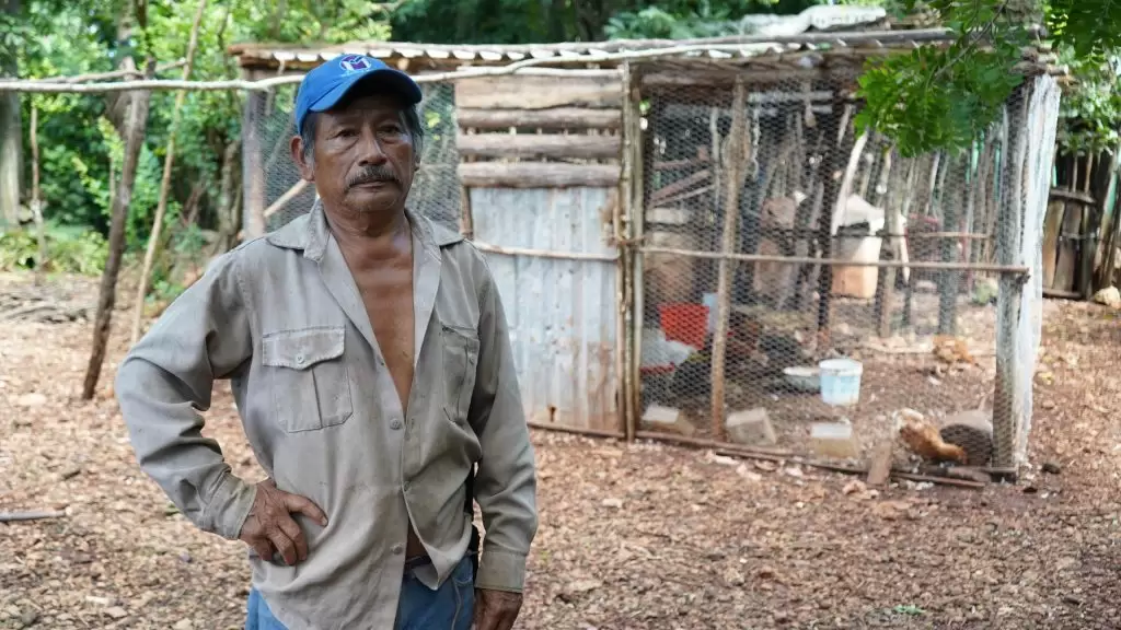 RENACIMIENTO MAYA ECONOMÍA DE LAS FAMILIAS CON HUERTOS Y AVES DE TRASPATIO