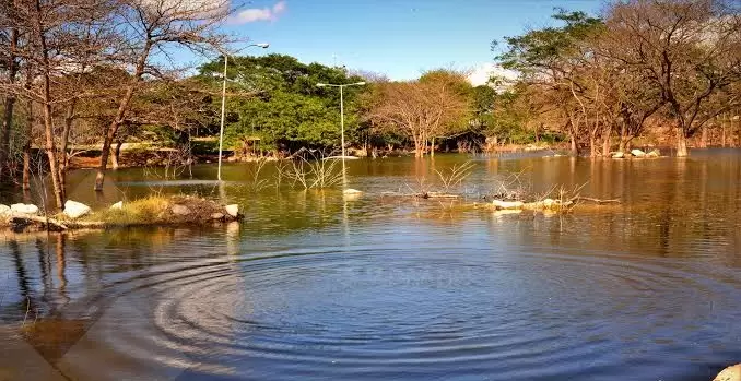LAGO PARQUE ECOLOGICO DEL PONIENTE