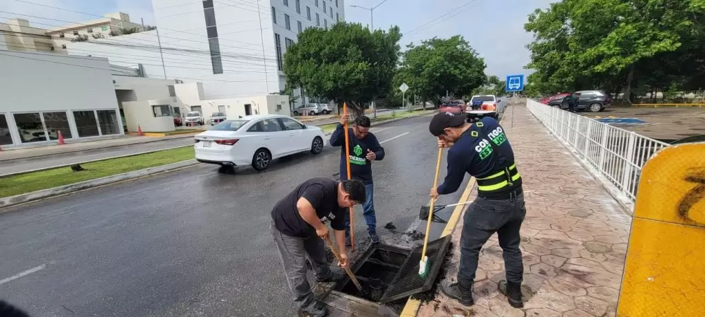 CALLE POR CALLE 24/7 CUIDAMOS A LAS Y LOS MERIDANOS Y SU PATRIMONIO