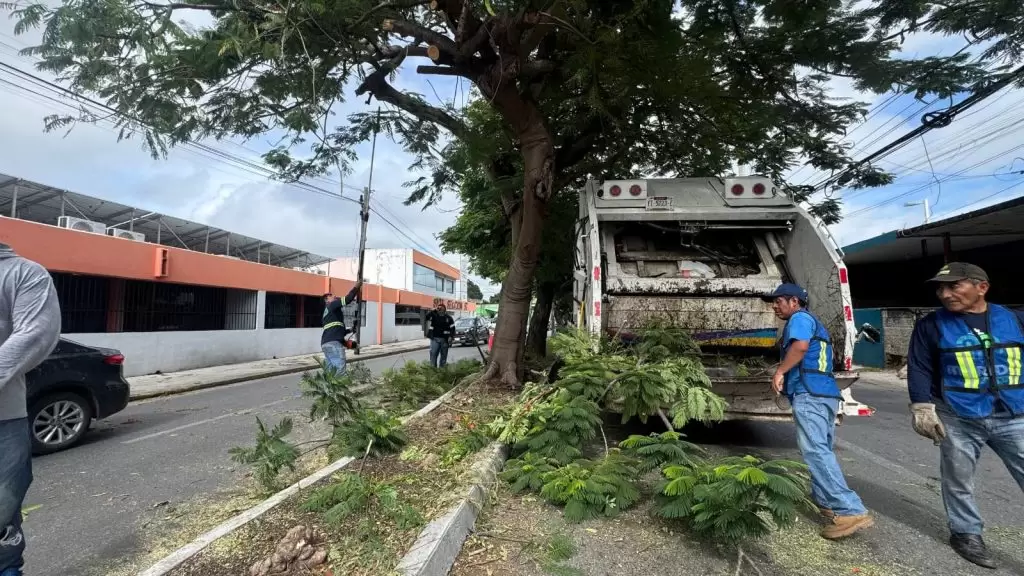 AYUNTAMIENTO DE MÉRIDA INTENSIFICA TRABAJOS PREVENTIVOS