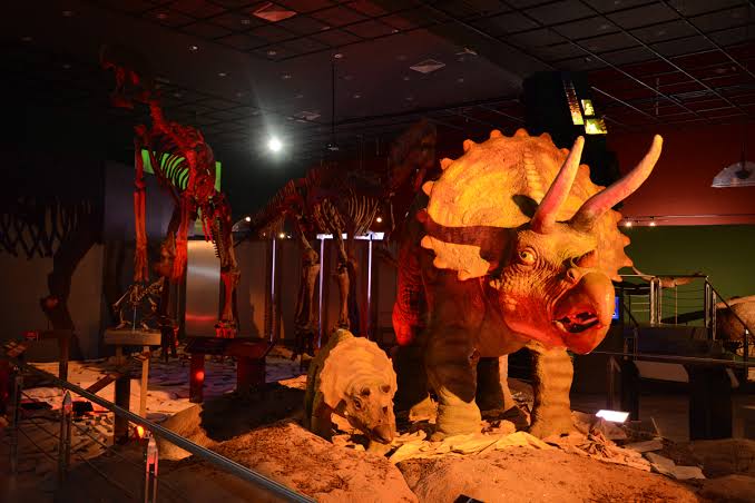 REMODELACIÓN DEL MUSEO DE HISTORIA NATURAL